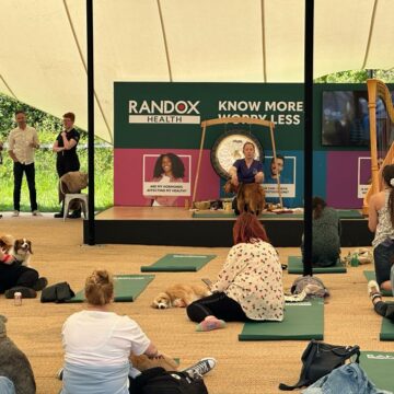 Canine Physiotherapy Session at Goodwoof 2023